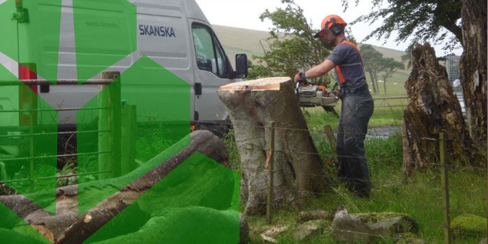 Technical Tree Service: Commercial Customers