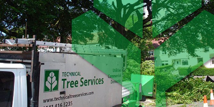 Technical Tree Services: Resources